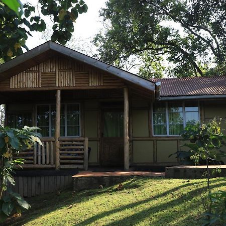 Nkuringo Bwindi Gorilla Lodge المظهر الخارجي الصورة