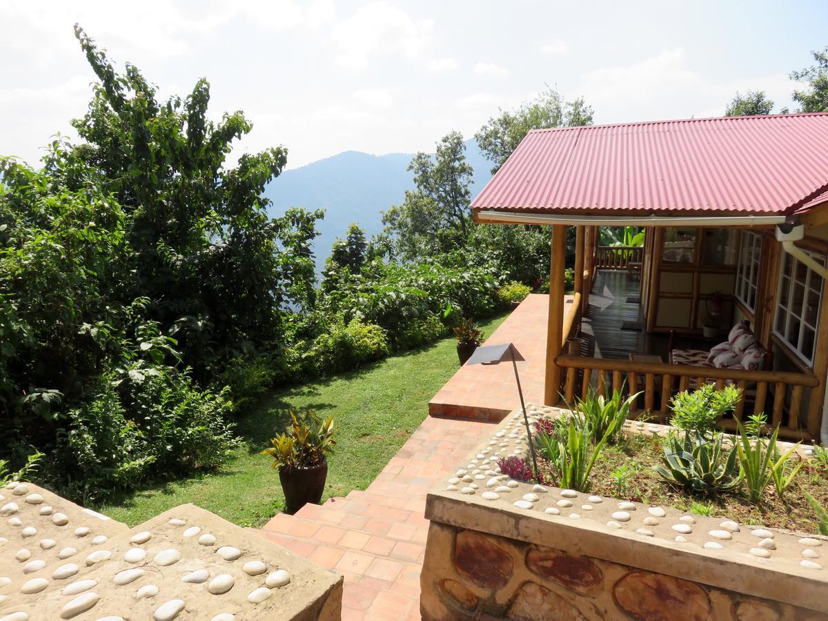 Nkuringo Bwindi Gorilla Lodge المظهر الخارجي الصورة