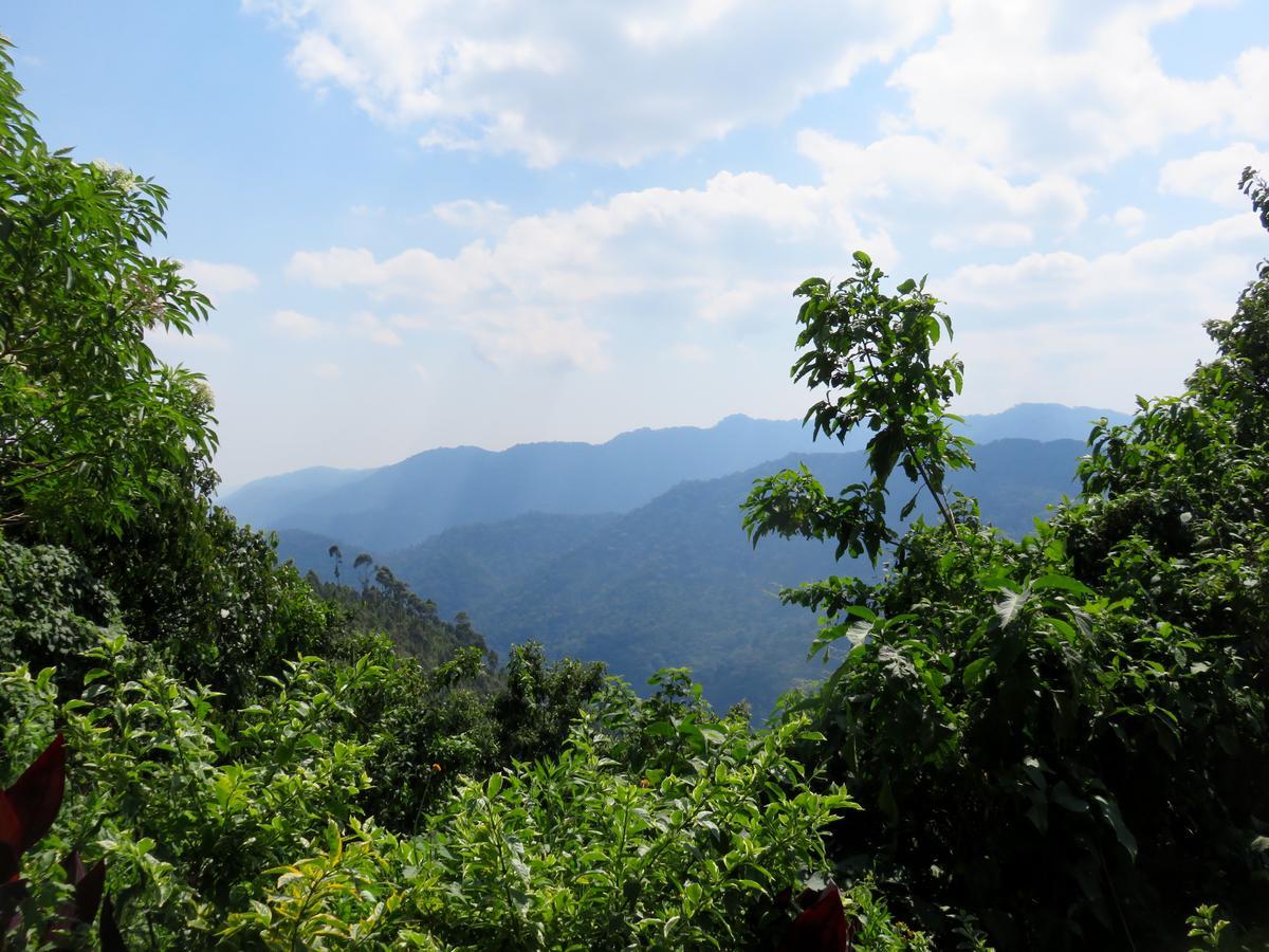 Nkuringo Bwindi Gorilla Lodge المظهر الخارجي الصورة