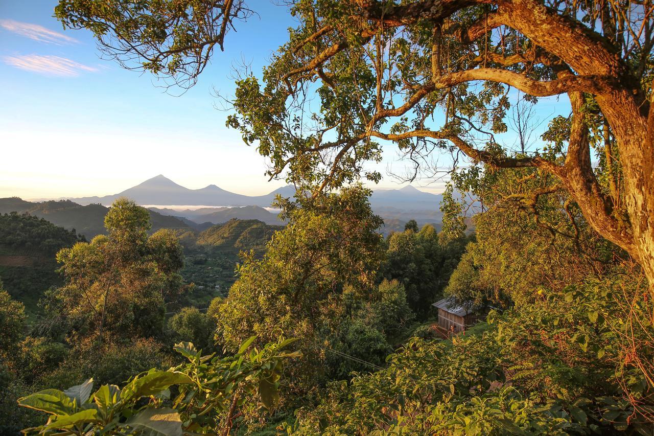 Nkuringo Bwindi Gorilla Lodge المظهر الخارجي الصورة
