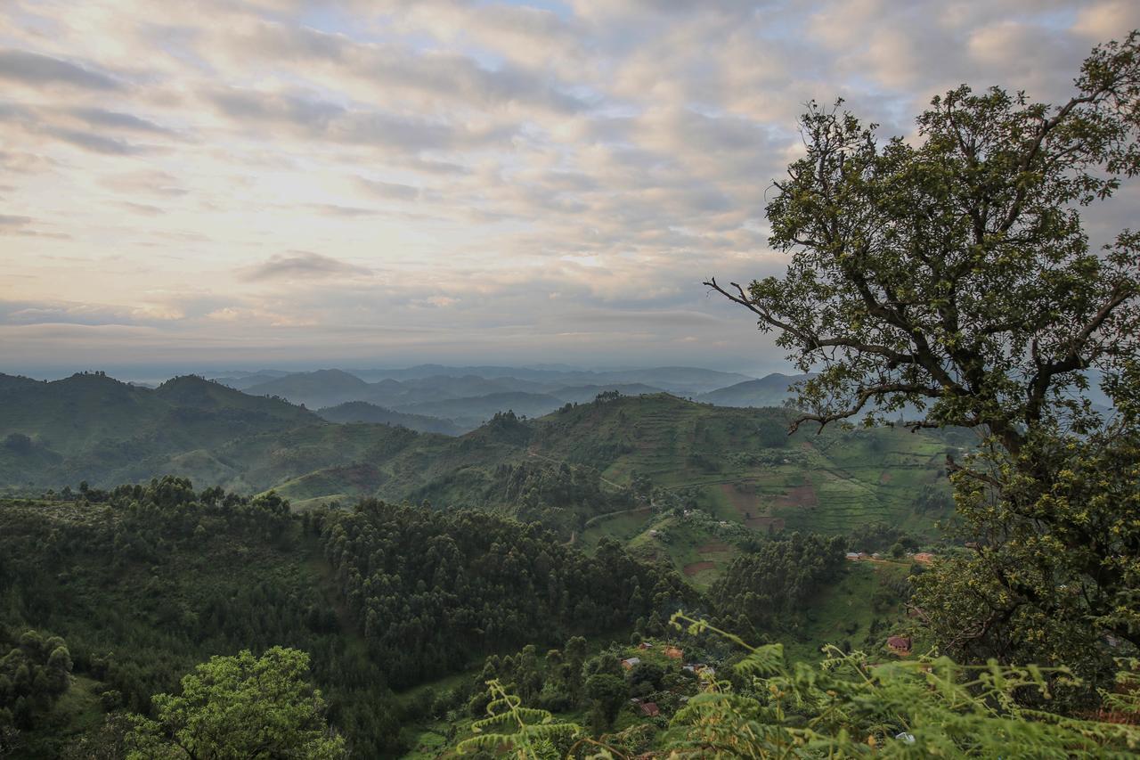 Nkuringo Bwindi Gorilla Lodge المظهر الخارجي الصورة